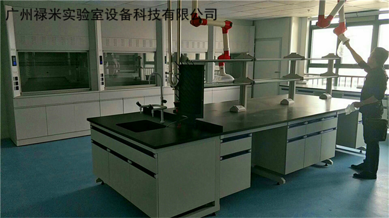 學(xué)?；瘜W(xué)實(shí)驗(yàn)室的規(guī)劃設(shè)計(jì)